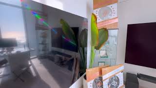 Glossy vs matte coating on a TV The Difference is insane Samsung S95D [upl. by Nart51]