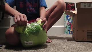 kermit the frog puppet unboxing [upl. by Ilhsa]