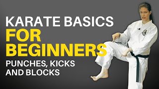 Karate Basics for Beginners Followalong Lesson [upl. by Aiksas]