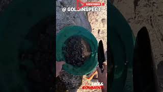 💰Panning Lessons For Gold Prospector goldpanning goldrush [upl. by Anazraf19]