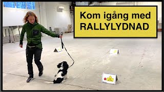 Kom igång med rallylydnad [upl. by Duleba]