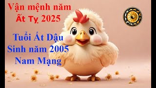 Tử vi Tuổi Ất Dậu 2005 Nam mạng năm Ất Tỵ 2025 Sự nghiệp tài vận tình duyên và gia đạo [upl. by Yenohtna]