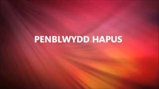 PENBLWYDD HAPUS [upl. by Hayyim]