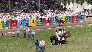 2022 Pendleton Round Up Indian Relay Races 91422 1st around [upl. by Birkner]