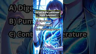 The Power of the Pancreas trivia learn physiology anatomy pancreas function insulin funfacts [upl. by Aicnarf]