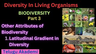 biodiversity part 3 Other Attributes of BiodiversityLatitudinal Gradient in Diversity latitudes [upl. by Otilia643]