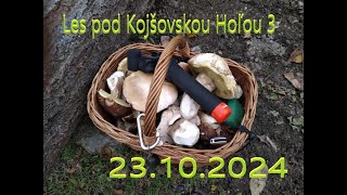 Les pod Kojšovskou Hoľou 3 [upl. by Petromilli]