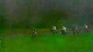 Review of 1994 Leopardstown Christmas HurdleEricsson Chase [upl. by Rubma116]