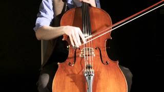 RHYTHM CELLO Groove  hard chop soft chop and ghost notes [upl. by Idnahr]