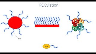 PEGylated systems in pharmaceutics [upl. by Cusack]