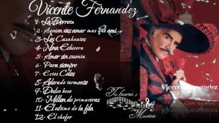 Vicente Fernandez Album para siempre [upl. by Suired348]