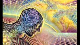 Linear Societies amp Nonlinear Drugs Terence McKenna FULL [upl. by Atteyram465]