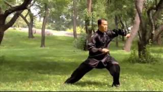 Chen Taijiquan Master Ren GuangYi amp Lou Reed  Tai Chi [upl. by Ynnor]