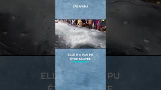 UNE BALEINE DE 1622 M ÉCHOUE SUR UNE ÎLE EN GUINÉE [upl. by Ammon174]