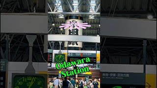 Odawara Station [upl. by Ardnua780]