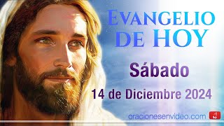 Evangelio de HOY Sábado 14 de diciembre 2024 Mt 171013 Elías ya ha venido y no lo reconocieron [upl. by Pascha375]