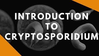 Introduction to Cryptosporidium [upl. by Kaylyn270]