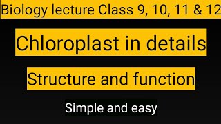 Chloroplast structure and function Chloroplast in details in Urdu Hindi by Bilal Hussain [upl. by Nitnerb]