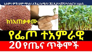 የፌጦ ተአምራዊ 20 የጤና ጥቅሞች ከነአጠቃቀሙ  Garden Cress health benefits [upl. by Funch533]