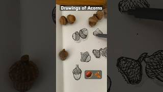 Acorns drawings 🌰  simpledrawing autumn [upl. by Stanton]