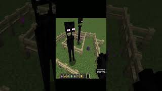 enderman vs endermiteminecraft [upl. by Llemor]