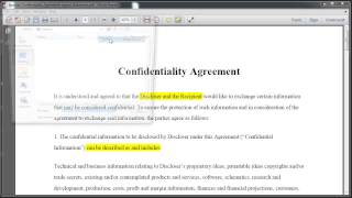 Highlighting Text In Adobe Reader X [upl. by Iver]