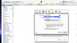 iTunes Audio Settings [upl. by Stew]