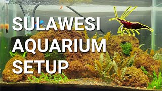 Sulawesi Shrimp Tank Setup [upl. by Amara727]