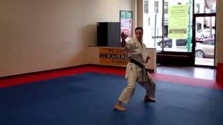 Junro Yondan slow motion  Warren Levi Karate [upl. by Atwood]