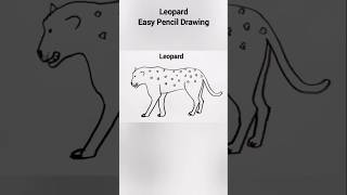 leopard Drawing  Easy Pencil Drawing  drawingartclinic pencildrawing shorts leopard [upl. by Oilisab267]