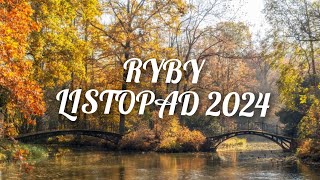 ♓RYBY ♓ listopad 2024  zmiany które wprowadzą spokój i stabilizację 🫶💫☺️🪬🪐🌕 [upl. by Wright]