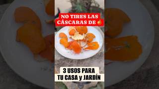 No Tires Las Cáscaras de 🍊 Vale ORO para tu Jardín [upl. by Henriha]