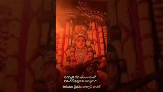 Moola Nakshatra Saraswati devi amma vari stotram [upl. by Eelyahs]