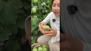 Nature Fresh Fruit Farm shorts shortvideo PE024 [upl. by Afira]