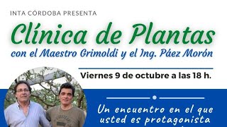 CLÍNICA DE PLANTAS  con el maestro Grimoldi y el ingeniero Páez Morón [upl. by Atnoed]