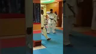 karate practice worldkaratefederation combatsport taekwondo fightingsport wkfkarate martial [upl. by Notsew]