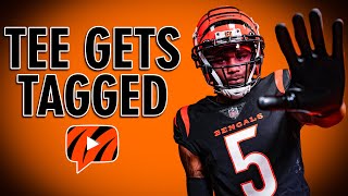 Bengals Placing Franchise Tag on Tee Higgins  Instant Reaction to News [upl. by Tuhn]