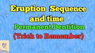 Eruption Sequence of teeth permanent dentition Eruption time MAIN [upl. by Fraser]