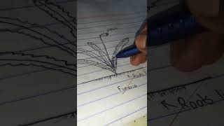 Funaria🌿☘ Drawing drawing shorts science biology schoolexam art ytshorts [upl. by Eniahpets]