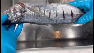 Comment Nettoyer Le Poissonmaquereau  Chinchard  How to clean Fish [upl. by Nylhtiak]