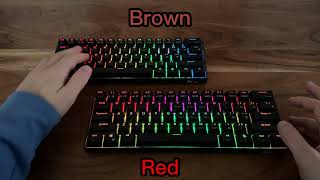 Red switches vs Brown switches [upl. by Laehcimaj131]