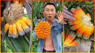 How To Eat Hala Fruit in The Garden  Eat Screw Pine Fruit  Makan Buah Hala Di Kebun [upl. by Finnigan]