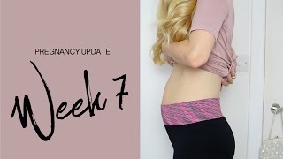 7 Week Pregnancy Update  Dollybowbow [upl. by Lletnwahs678]