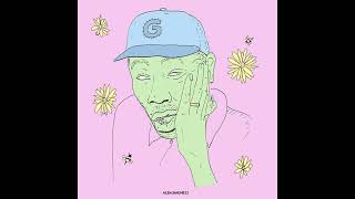 FREE TYLER THE CREATOR TYPE BEAT PASTEL [upl. by Schram888]