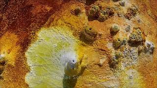 The strangest place on earth  Dallol flyover [upl. by Rauscher919]