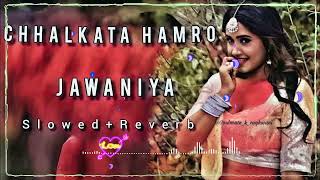 CHHALKATA HAMRO JAWANIYA slowed  reverb bhojpuri lofi song lofi bhojpuri [upl. by Stearns]