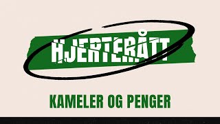 Hjerterått  Kameler og penger  Marius Hodne  24112024 [upl. by Aniled]