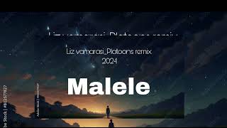 Liz VamarasiMalelePLATOONS REMIX 2024 [upl. by Enyar]