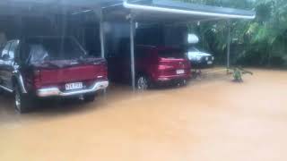 Front yard Alchera Drive Mossman flooding [upl. by Llenoj]