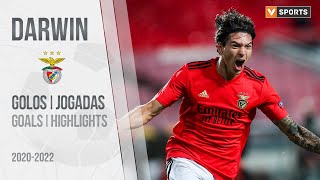 DARWIN NÚÑEZ  SL Benfica  Highlights 20202022 [upl. by Adnihc]